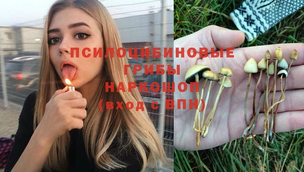 2c-b Волосово