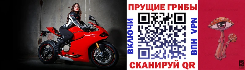 Псилоцибиновые грибы прущие грибы  hydra маркетплейс  Володарск 
